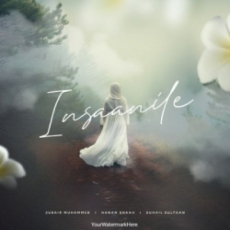 Insaanile Insaanile