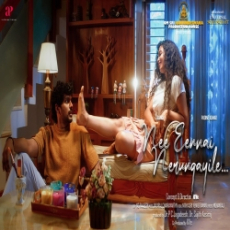 Nee Ennai Nerungaiyile